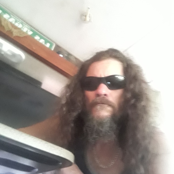 Free to good home - Picture 16 of 16